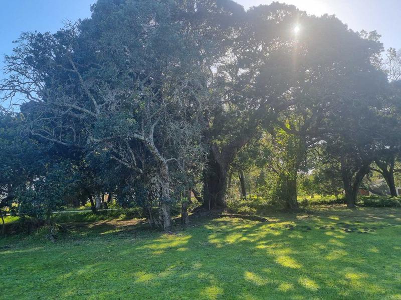 0 Bedroom Property for Sale in Brenton On Lake Western Cape